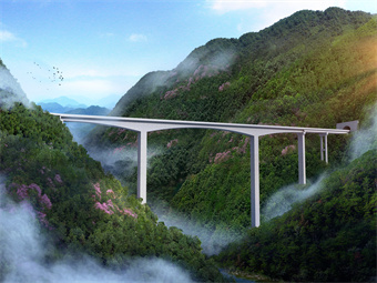 205國道開化齊溪大壩至石川段復(fù)建工程總承包項(xiàng)目